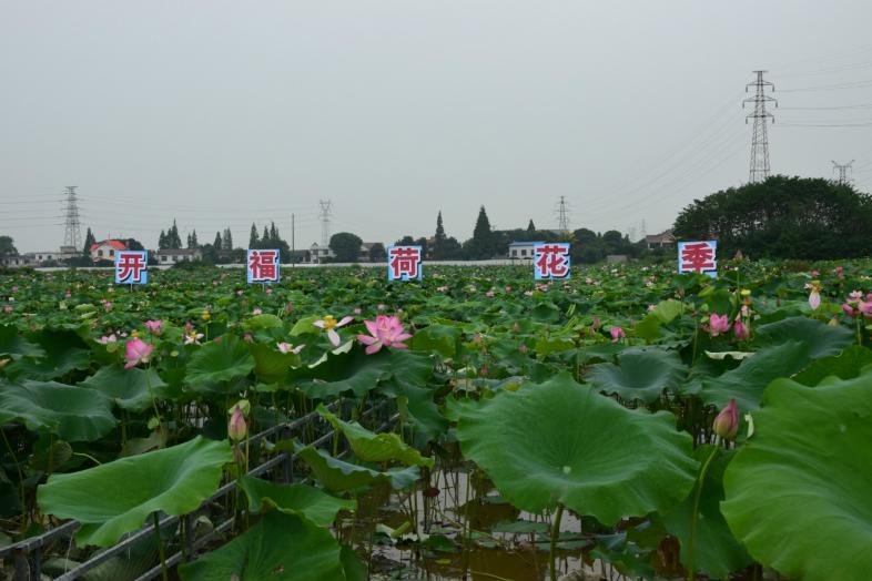 長沙清潔,長沙清潔服務(wù),長沙專業(yè)清潔,長沙清潔公司,湖南專業(yè)清潔,長沙保潔公司,長沙專業(yè)保潔,長沙物業(yè)保潔